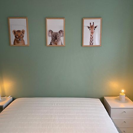 Le Cocon De Beauval Apartment Chateauvieux  ภายนอก รูปภาพ
