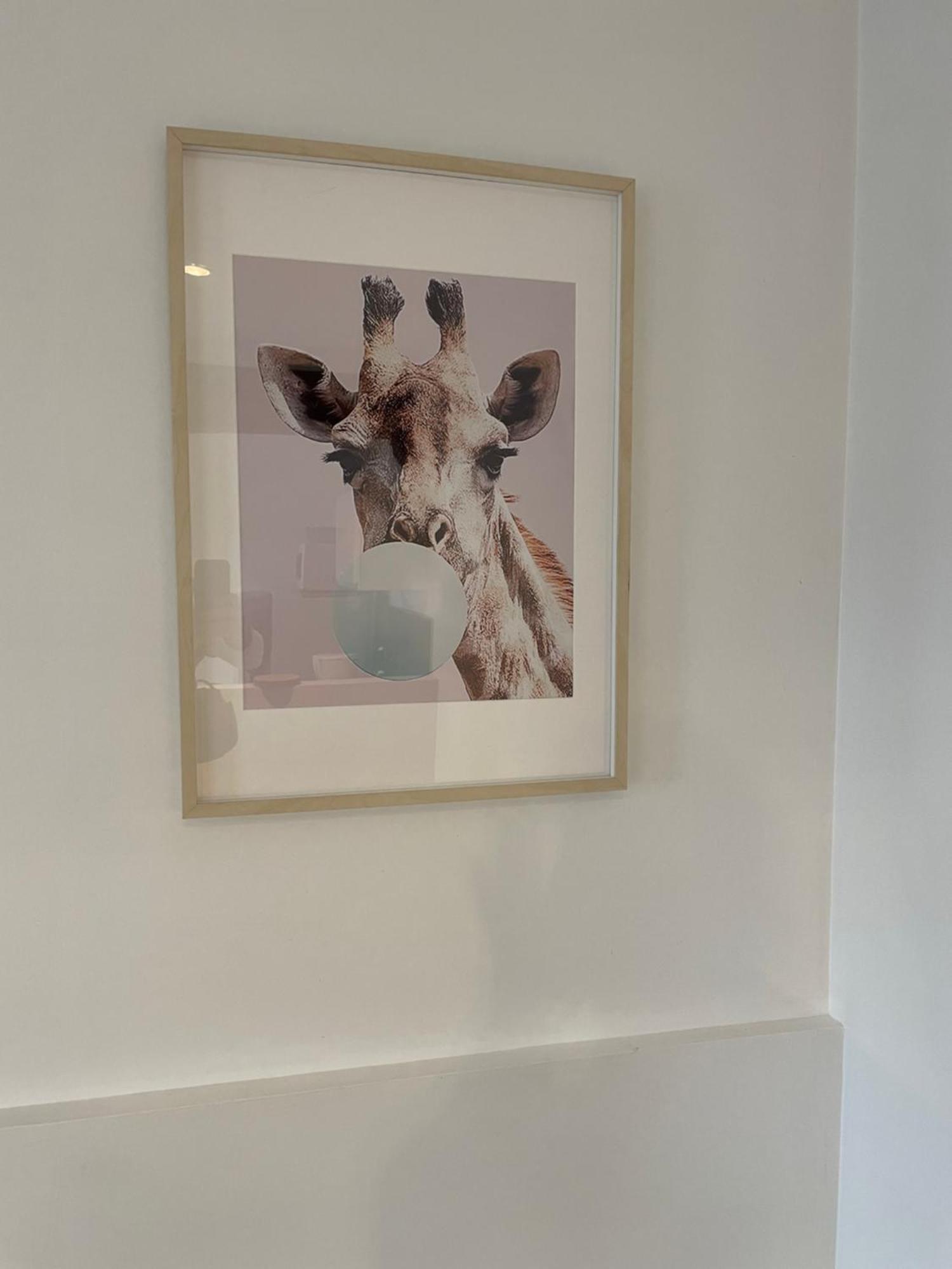 Le Cocon De Beauval Apartment Chateauvieux  ภายนอก รูปภาพ